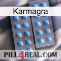 Karmagra viagra4